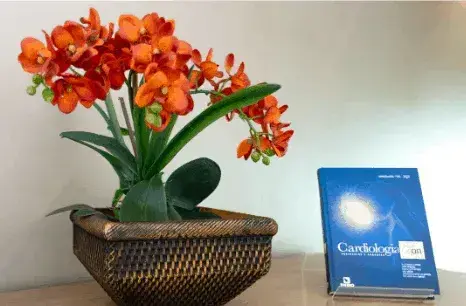 Reabilitação Cardíaca valor